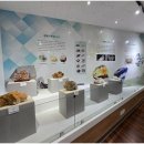 세계화석광물박물관 이미지