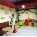 덕수네애견 이미지