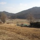 조현초등학교 Daum카페