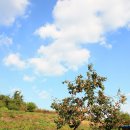 장모님집 이미지