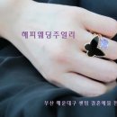 오닉스 이미지