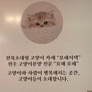 묘해저택 전주 고양이카페 이미지