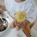원주 이유식 유아식 아이반찬 아기반찬 전문점 [요미잇] 식단표/ 배달 가격 정보