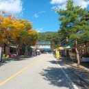 수덕사 진입로 이미지