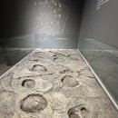 함안외암리공룡발자국 화석 이미지