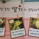 해담농장 이미지