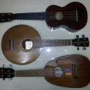 우쿨렐레(ukulele)의 만남 이미지