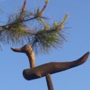 봉수산 자연휴양림 이미지