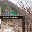 가리산자연휴양림 야영장 이미지