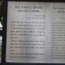 완도 미라리 상록수림 이미지
