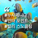 [발리 가족여행] 빤쌤의 누사페니다 스노클링 투어 후기 (+돌고래 본 썰)