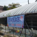 양문5일장 이미지