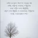 참치과기공소 네이버블로그
