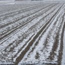 부안군농업기술센터 이미지