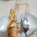주덕농장 이미지