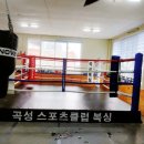 곡성 복싱 체육관 이미지