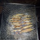 정희농박 이미지