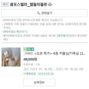 돈치킨내외점 | 오픈특가 복층 제주도 게스트하우스 제주도 서쪽 코스 조식은 아쉬웠어요