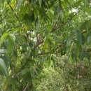 불모산 저수지 내 이미지