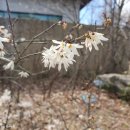 식물원 정자옆 이미지