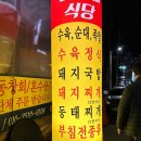 돌고래세차장 이미지