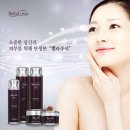 에버코스의 독자브랜드 화장품 벨라루시를 만나보세요~~