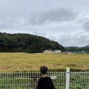 캠핑 애견놀이터 poljjac | 용인 애견동반 바베큐장 캠프쿡에서 아이와 함께 보내는 캠핑 감성 가득한 하루