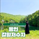 계룡저수지 공중화장실 | 숨겨진 용인의 힐링 명소 갈월저수지 산책 후기