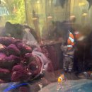 어푸어푸 | [내돈내산방문]망포역 판타지움 어푸어푸 주말오후 방문 후기