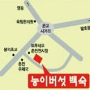나능이 건너편 이미지