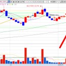 에스와이트레이딩 이미지