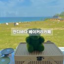 고성 오션뷰 카페 추천, 잔디바다 방문 후기 | 주차, 애견동반 정보
