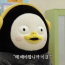청년피자첨단 이미지