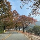 무장산식당 이미지