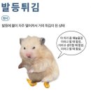 배재대학교 관광축제호텔대학원 | [일반대학원 관광학과 석사 2기 후기]_문과대학원생 일상, 과목추천, 행정실 조교