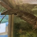 DK동물병원 이미지