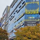 대구 피부관리샵 월성동 피부관리 월성동 MTS 원젝션 보니예 대만족 후기