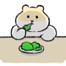 프로틴짐 이미지