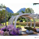 진안마이돈 이미지