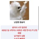 Dumbo 이미지