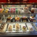 아라파파 이미지