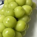 한주할인마트 | 강서 양천 무료배달 장보기 배달 어플 노크 후기(+할인 쿠폰)