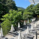 백운계곡 이미지