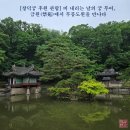 [창덕궁 후원 관람] 비 내리는 날의 궁 투어, 금원(禁苑)에서 무릉도원을 만나다