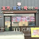 고기는 모가가 딱이야