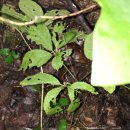 (주)심산 이미지