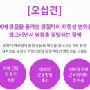 시민의원 네이버블로그