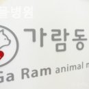 가람동물병원 이미지