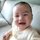 강여사의부엌 | 7月 - 1 / 내집계약, 인테리어 미팅 계속, 토리야 사이좋게 지내자, 이유식 공장 풀가동, 미소천사 햇감쟈