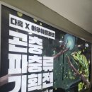 다흑X아쿠아플라넷 일산점 곤충 파충류 기획전 방문후기(곤충체험 추천)